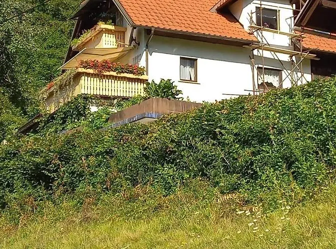 شقة With A View بوهينيسكا بيستريكا